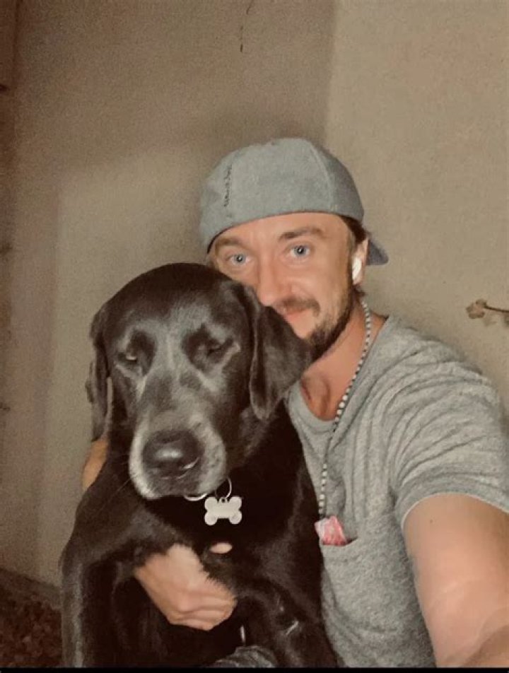 Tom Felton Pets