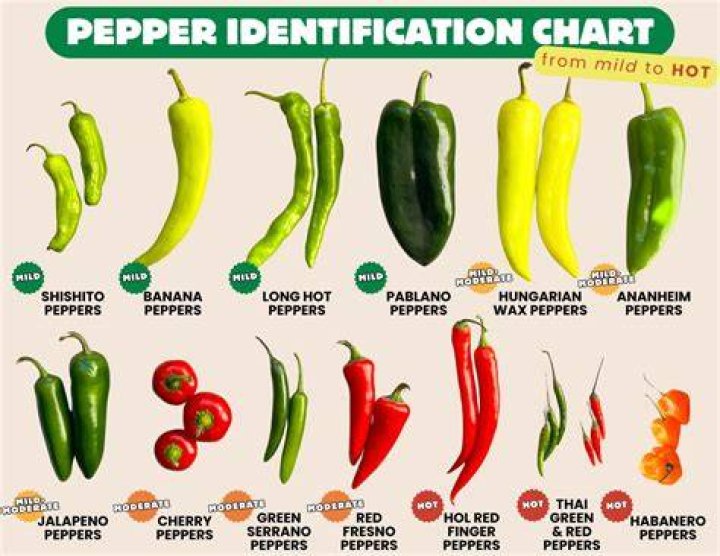 What's the best tasting pepper?