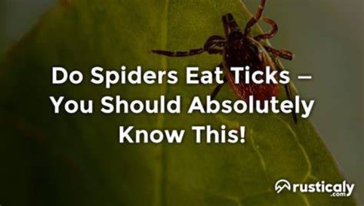 What animal eats the most ticks?