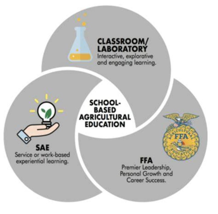 What are three FFA strategies?