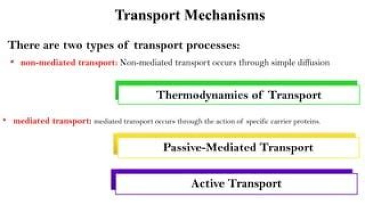 What do you mean by mediated transport?