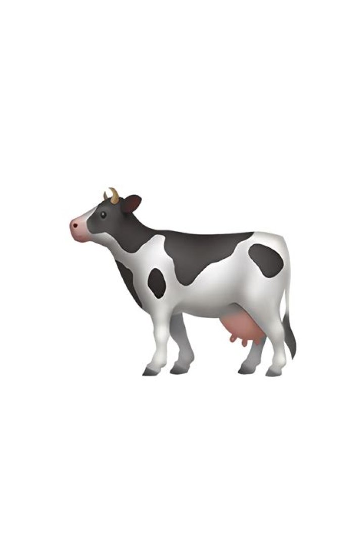 What does the cow emoji mean?