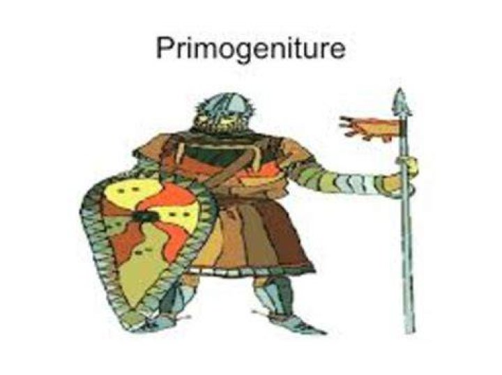 What is primogeniture Apush?