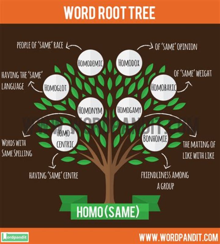 What is the root word for homo?