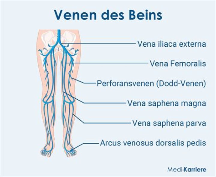 What is Vena e real name?