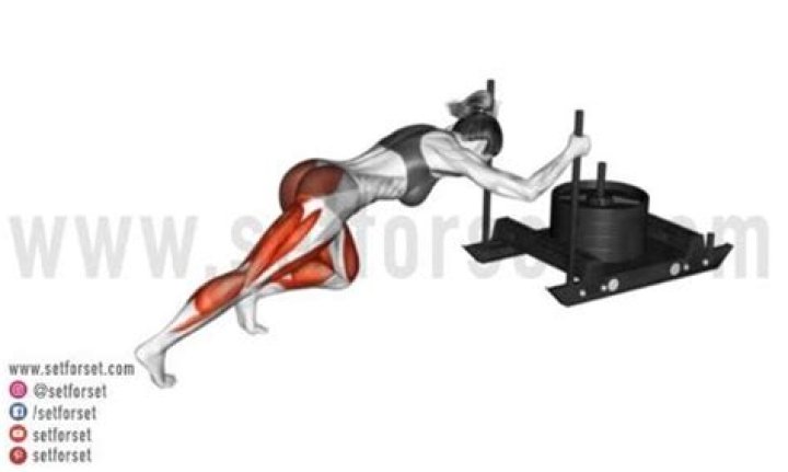 What muscles do sled pushes work?