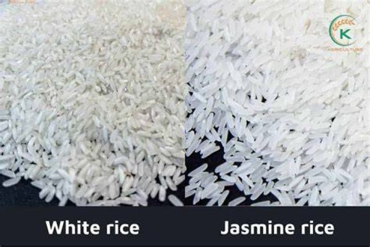 What’s the difference between jasmine rice and regular rice?