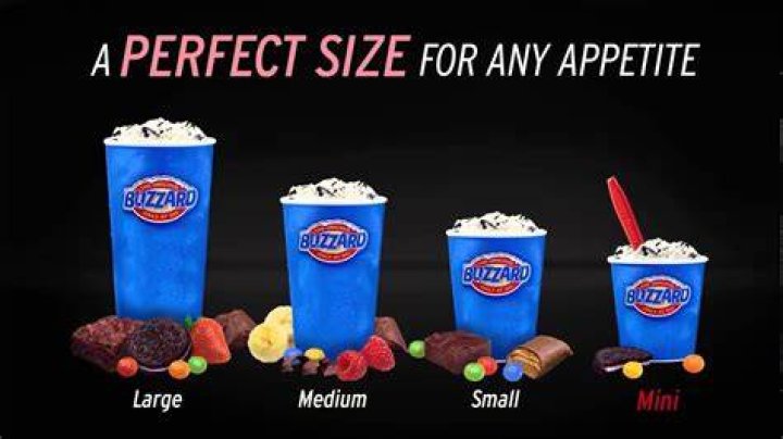 What size is a large blizzard?
