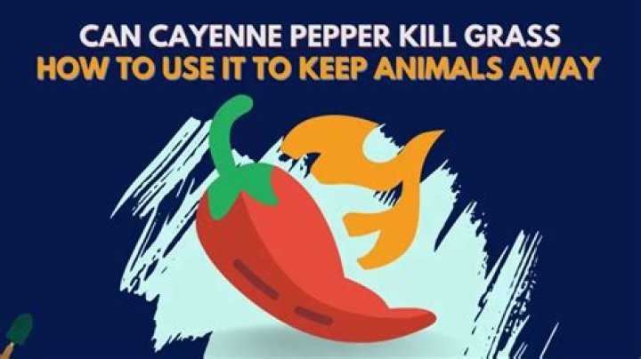 Will cayenne pepper keep dogs off lawn?