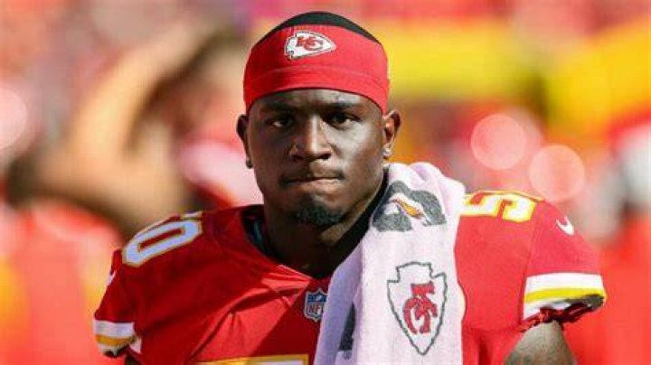 Willie Gay Jr. Pets