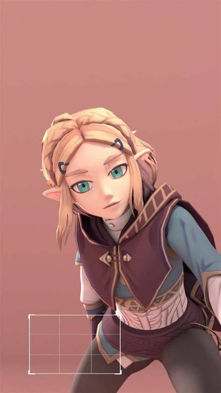 Zelda TikTok